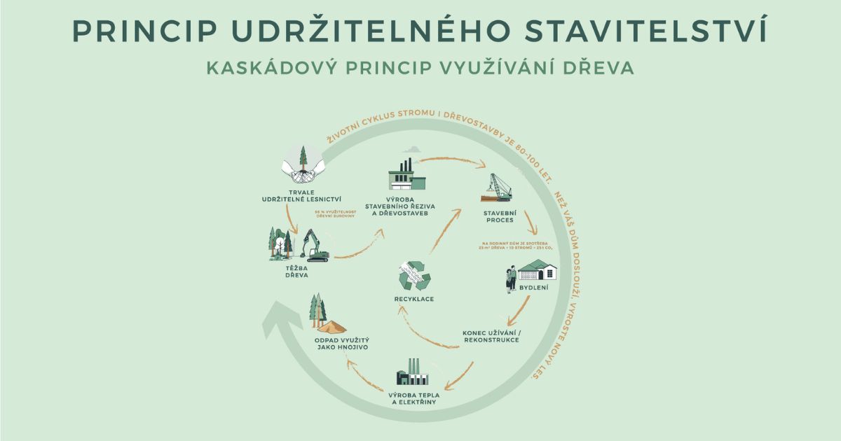Kaskádový princip využívání dřeva je synonymem udržitelnosti